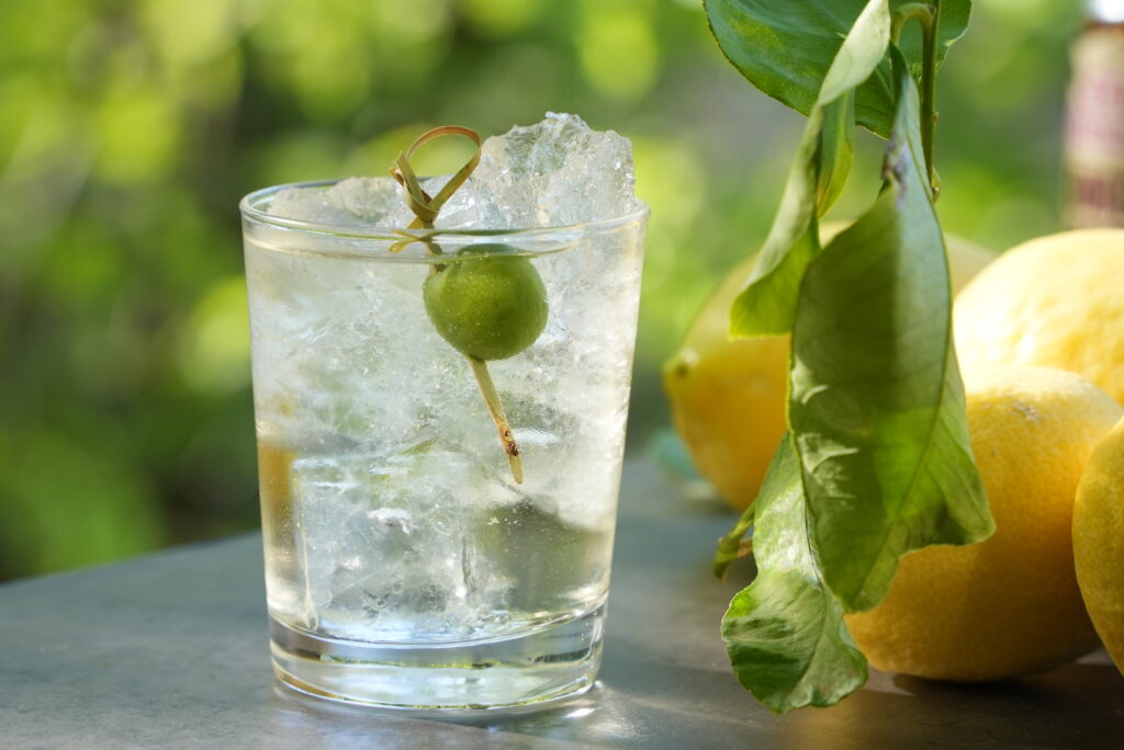 Gin & Tonic med oliven og isterninger foran citroner